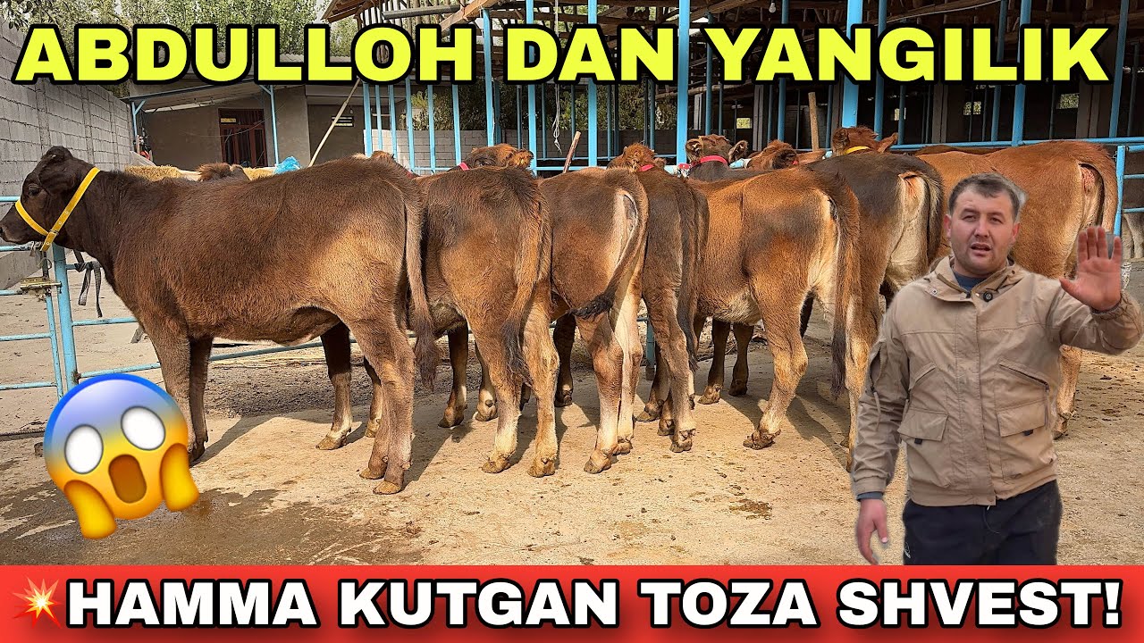 💥 BOZORNI LARZAGA SOLGAN SHVEST HUNO JINLAR — ABDULLOHDAN!