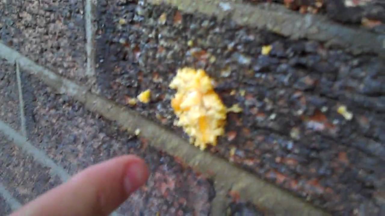 Example Tour Vid 13: 