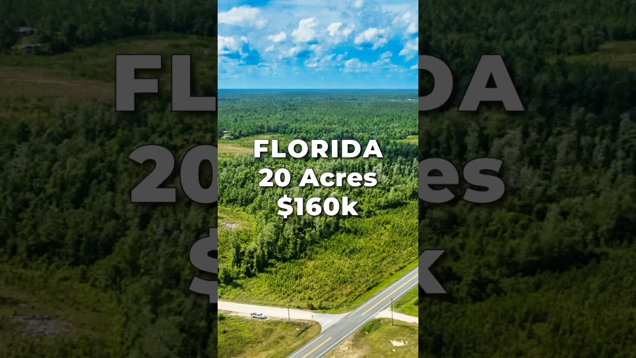 Продажа земли во Флориде • 20 акров с электричеством и выходом на дорогу • ЛЭНДИО