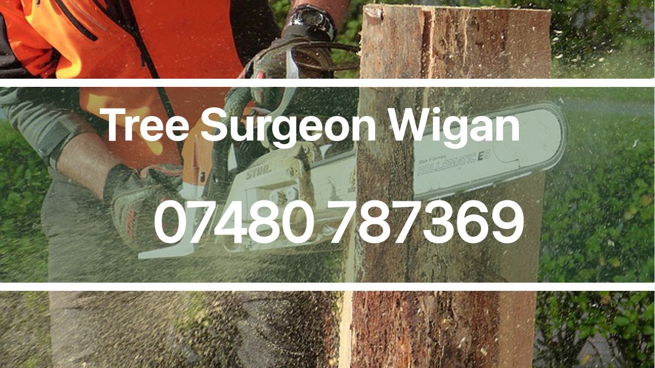 Tree Surgeon Wigan 24 hour Tree Surgery Root Removal Stump Removal & Other Tree Services