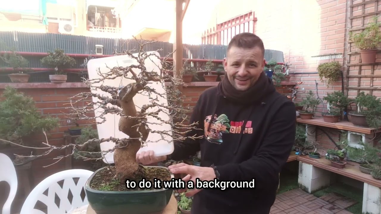El secreto del ALAMBRADO en un BONSAI sin CENSURA 😱 The secret of WIRING in an uncensored BONSAI