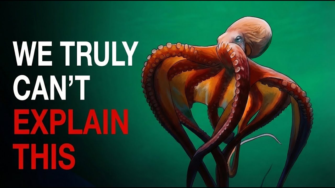Deep Ocean: Nothing About Octopus Is Normal… Here’s Why