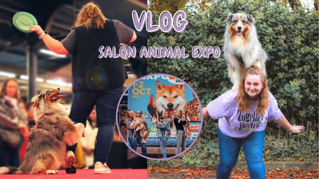 AU PROGRAMME : SALON, RENCONTRES, DÉMO DE DOG DANCING & RIRES (Animal Expo 2022)