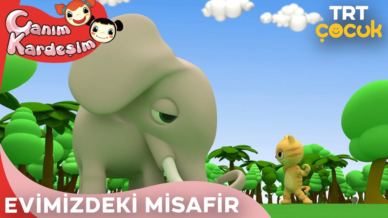 Canım Kardeşim - Evimizdeki Misafir