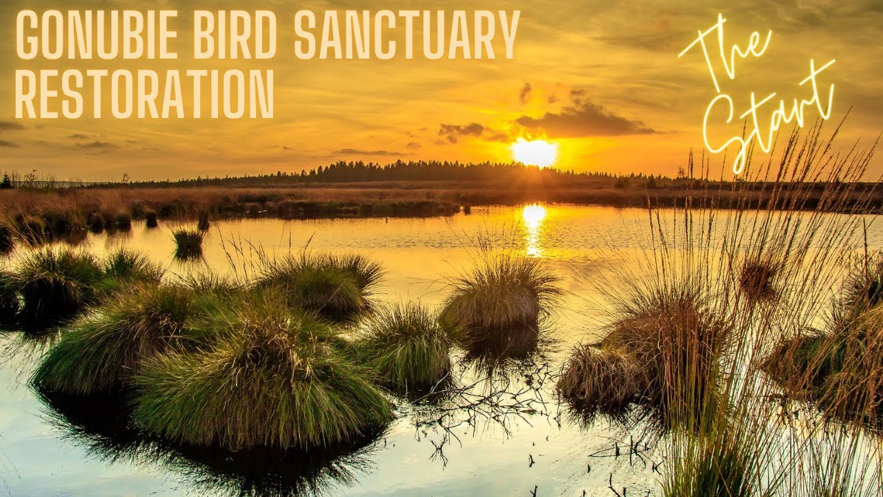 Gonubie Bird Sanctuary