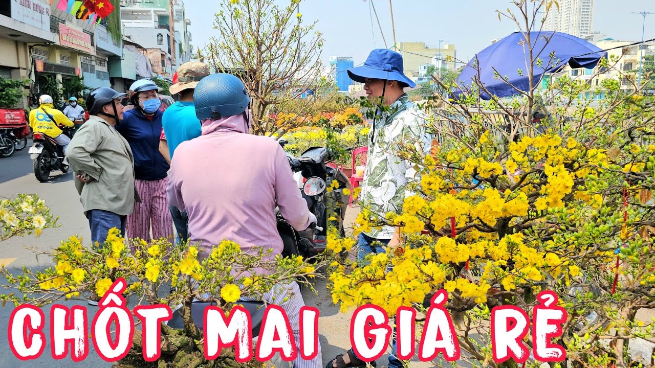 Giữa Trưa Nắng Chang Chang Người Sài Gòn Ra Bến Bình Đông Chốt Mai Giá Rẻ Siêu Nụ Về Chơi Tết