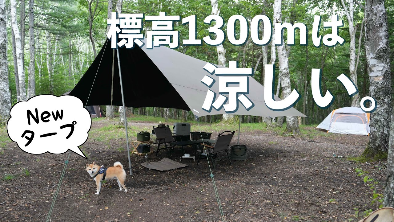 【犬連れキャンプ】涼を求めて信州へ。姫木平ホワイトバーチキャンプフィールド（長野）
