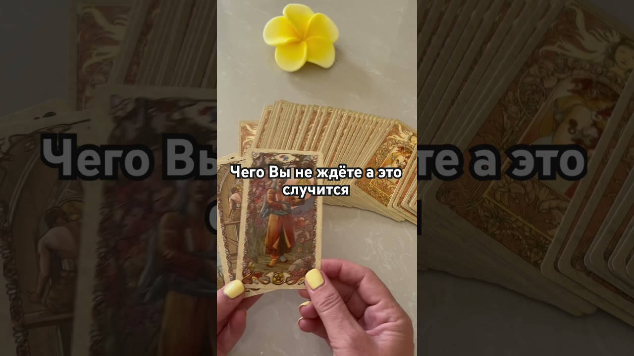 #таро