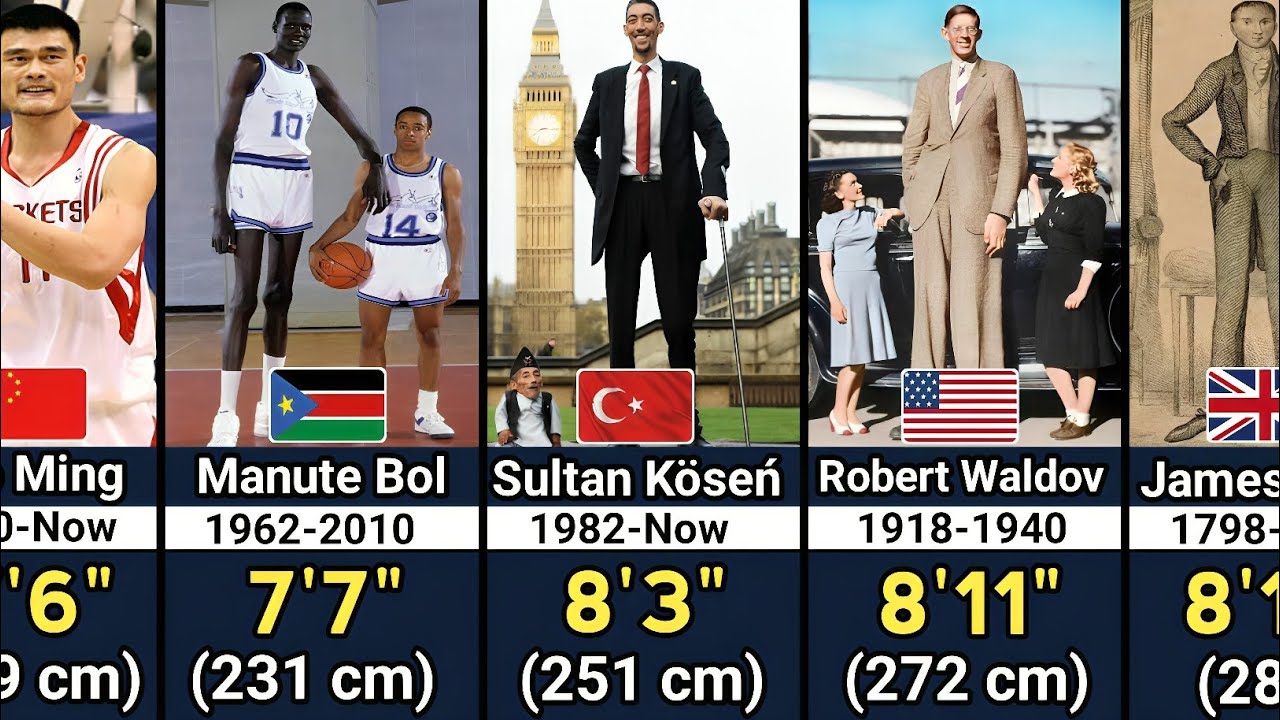 Tallest Person In The World History