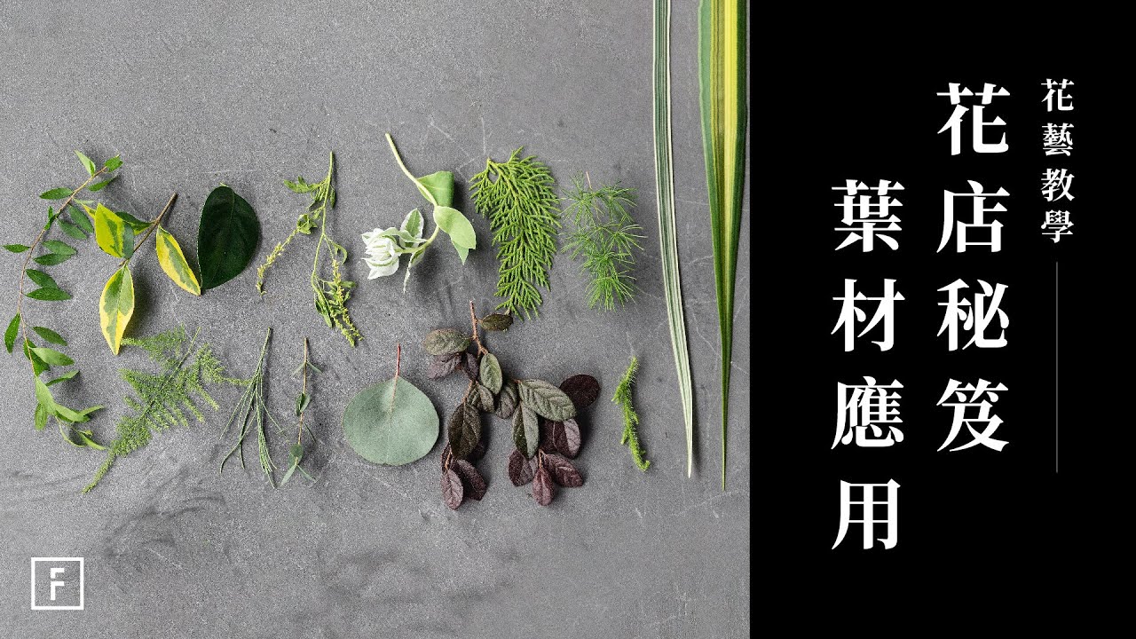花店專業技巧大揭密！超過十五種葉子，教你花與葉的搭配應用｜花藝教學｜花裡 FORi Flower