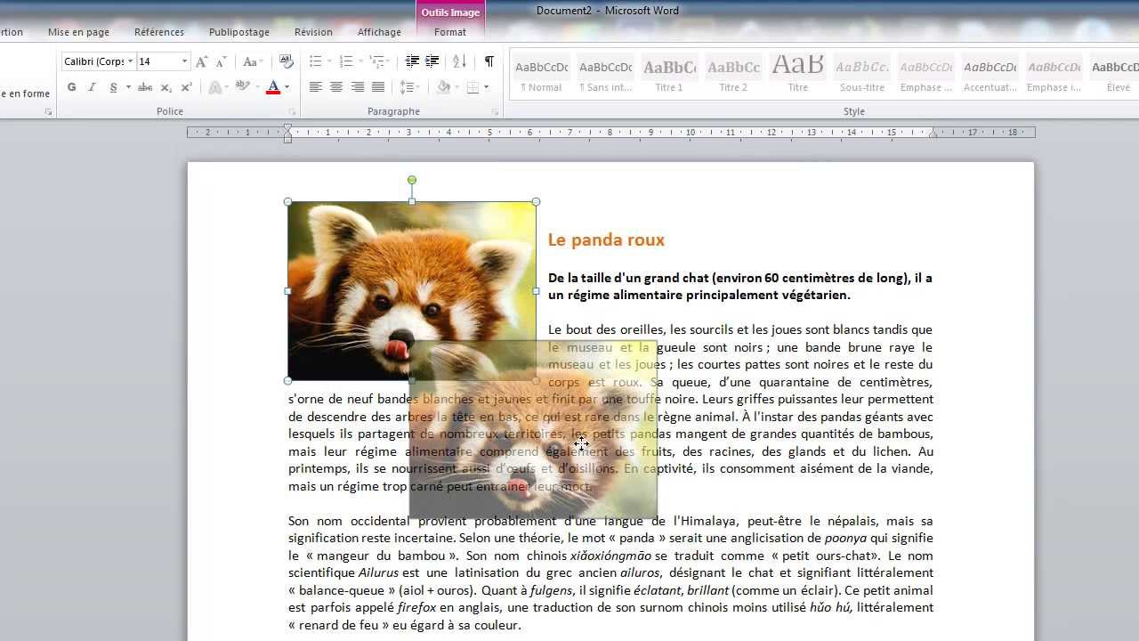 La fonction habillage du texte dans Word.