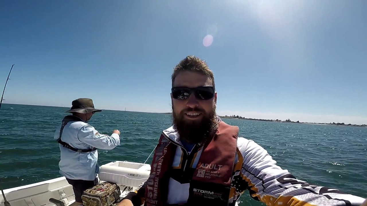 Tamar River Whiting