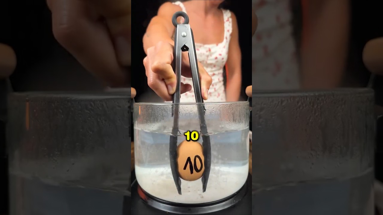 How to Perfectly Boil an Egg Every Time 🥚