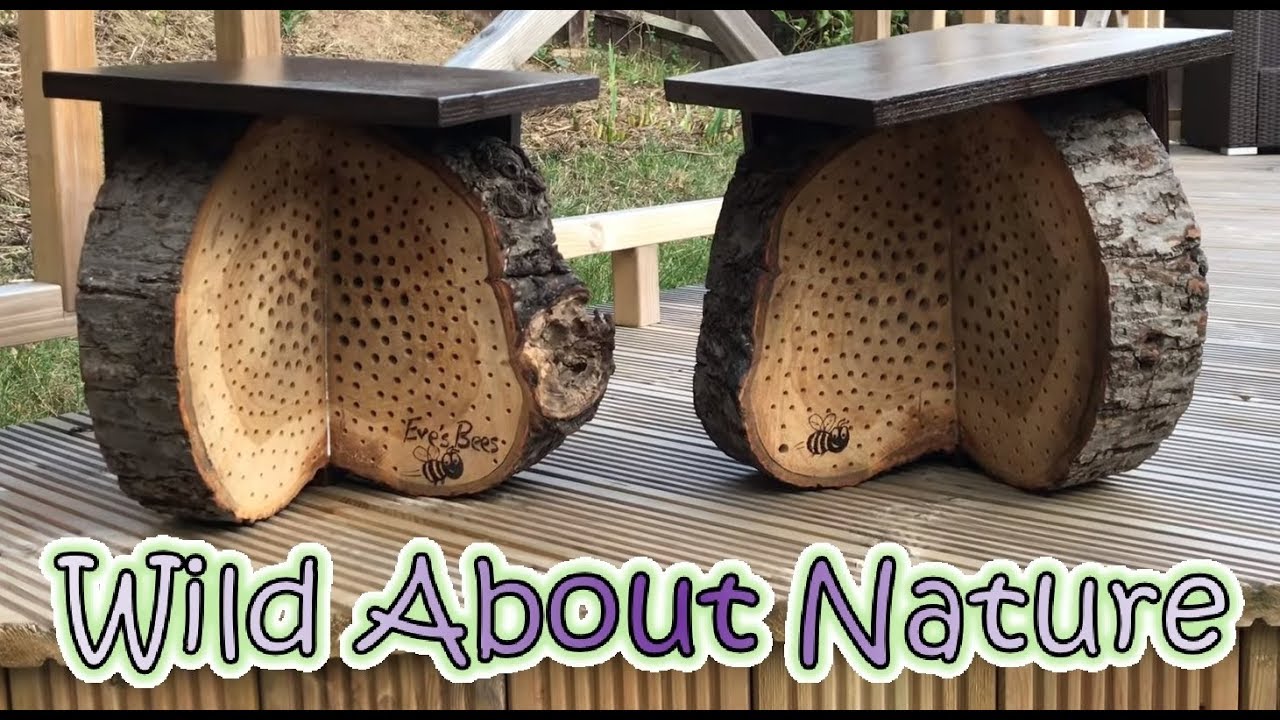 How to build the most successful Bee or Bug Hotel Habitat.....Ever?