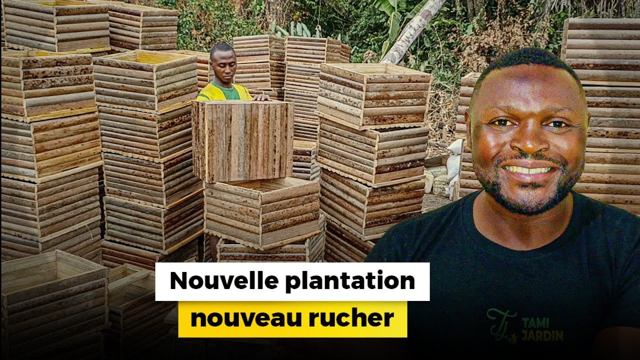 Tu veux créer une plantation, crée aussi un rucher