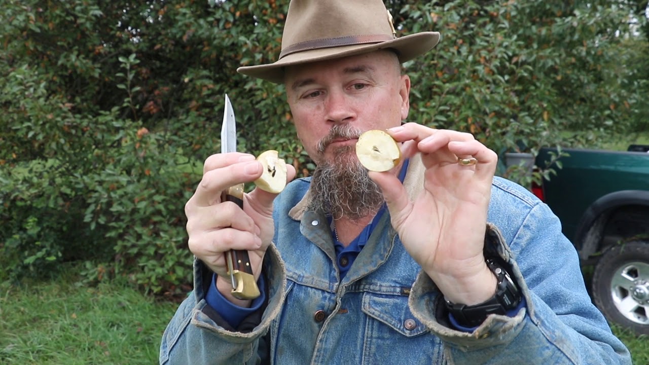 Picking Wild Pears and making homemade cider at the Ole Buck Ranch