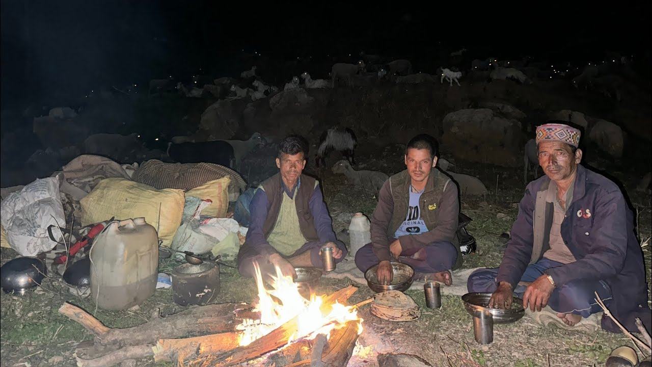 Singing Under the Stars: A Shepherd’s Drunken Musical Adventure