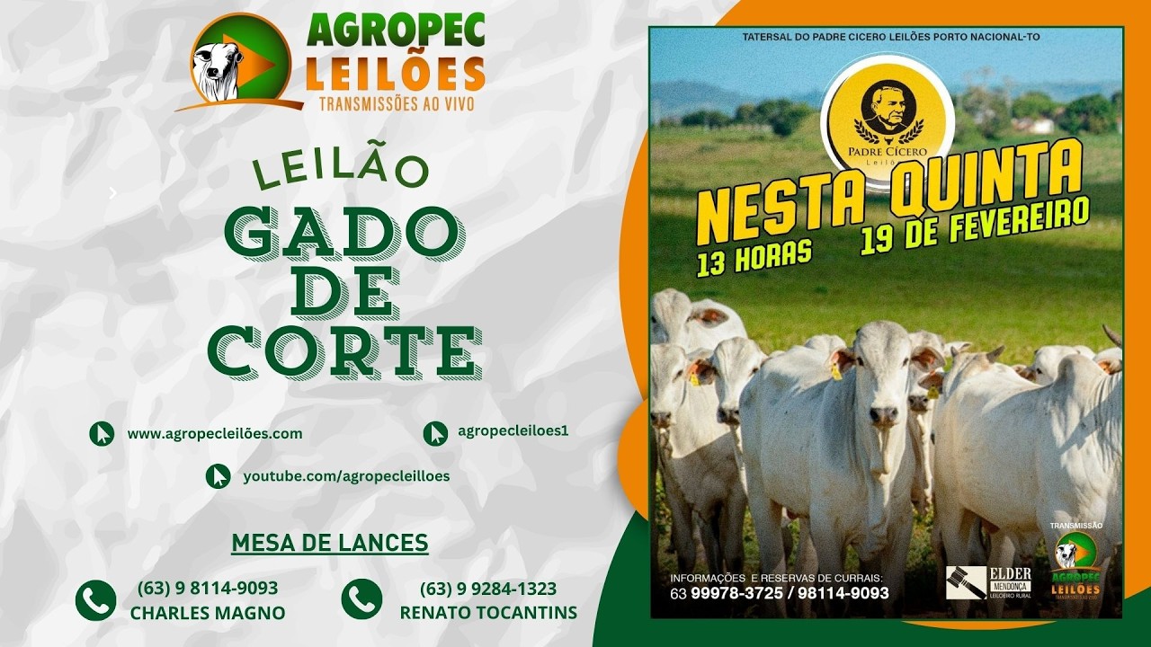Agropecleiloes.com LEILÃO GADO DE CORTE | PADRE CÍCERO - PORTO NACIONAL-TO 19/02/2026.