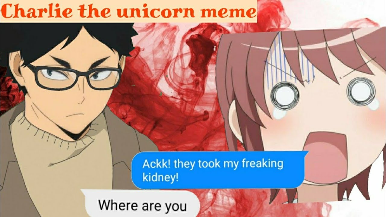 Charlie the unicorn meme II Haikyuu boys x Y/N II Kiana-Senpai