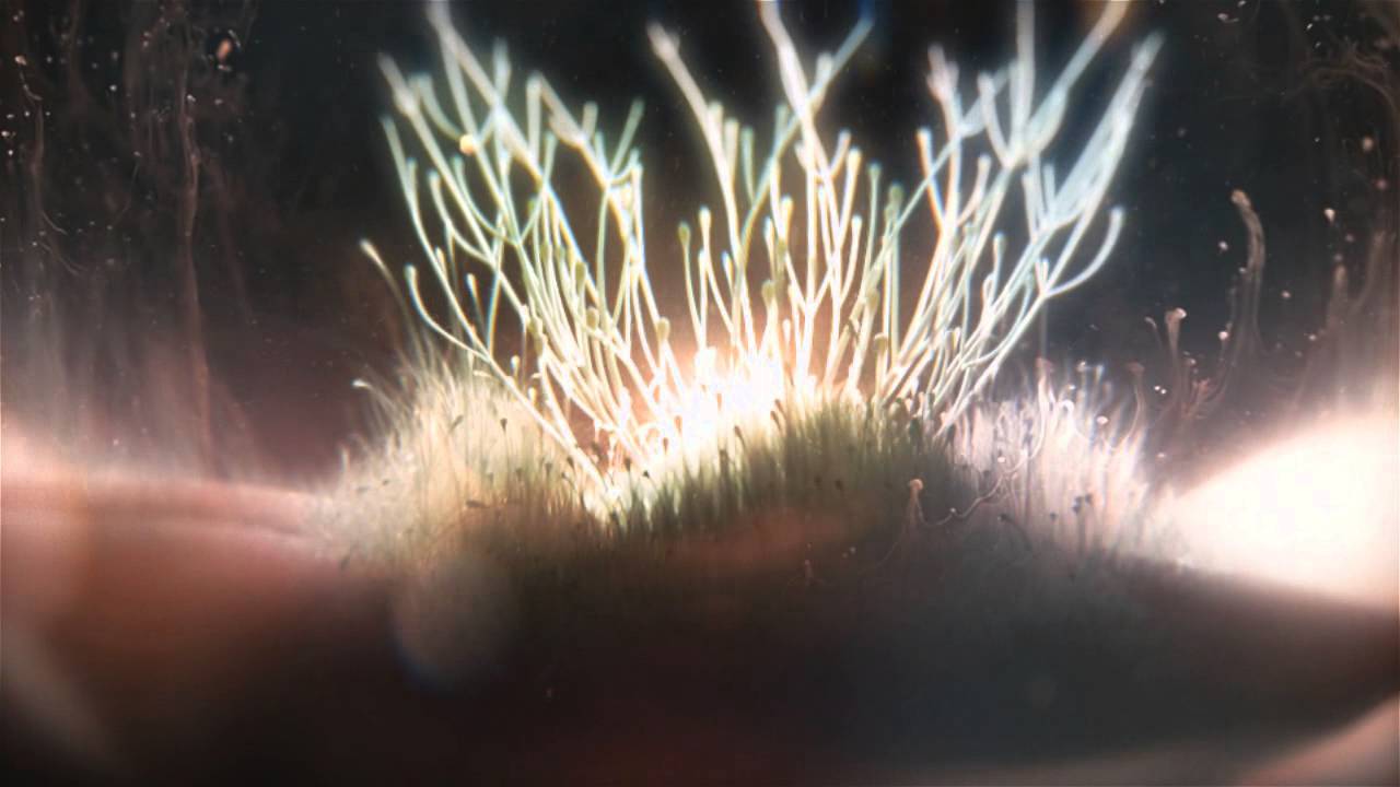 Yinyues ft. Conon Bowers - Hideaway HD-Video