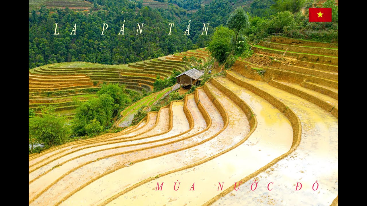 MÙ CANG CHẢI  Mùa Nước Đổ  2022