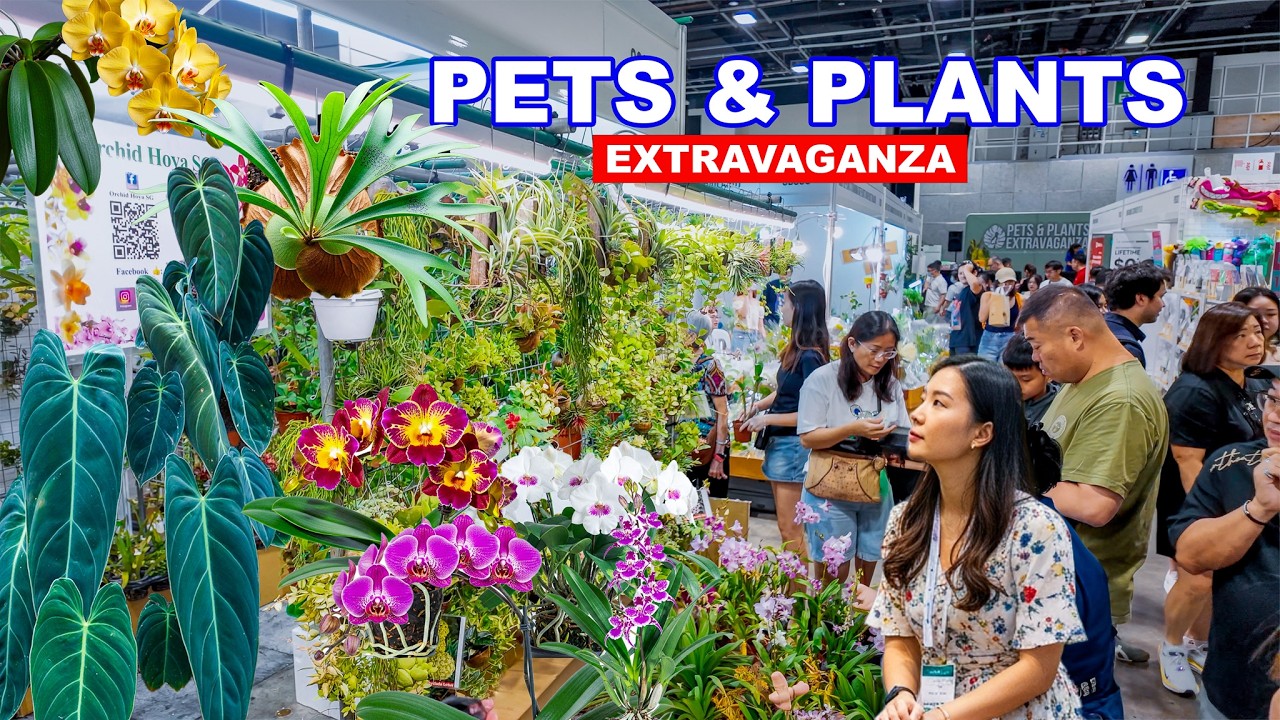 🪴Singapore Pets and Plants Lovers Paradise | Pets and Plants Extravaganza 2026 Suntec Singapore🇸🇬