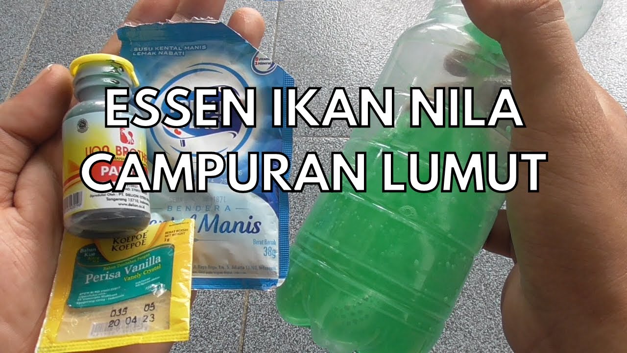 Cara Membuat Essen Ikan Nila Media Lumut  paling Ampuh