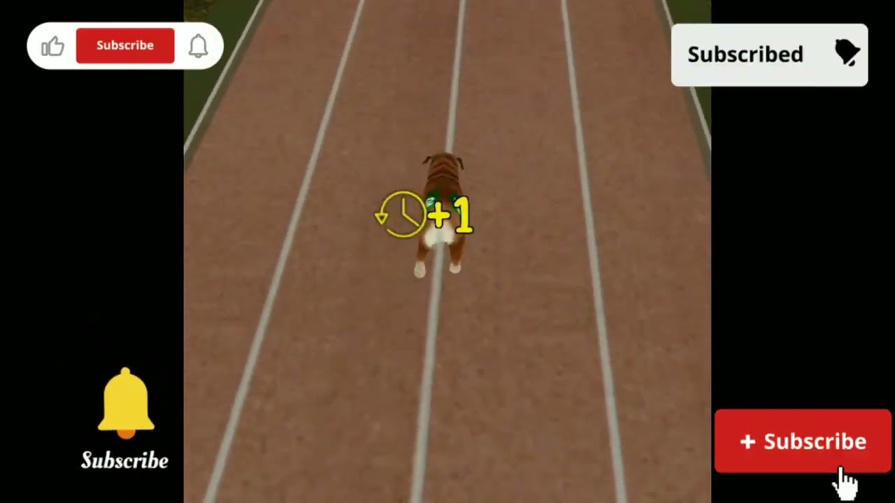 dog 🐕 race|dog's racing high race in with dog's#dogs#dogsrace