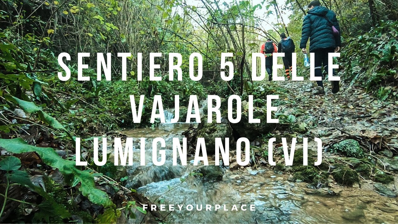 CLEANING SENTIERO 5 - LUMIGNANO (VICENZA)