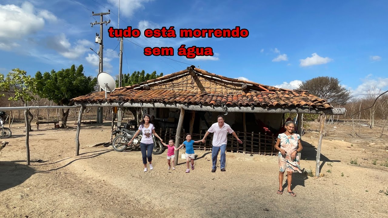 ￼ Família sofre por água no sertão tudo estão morrendo sem água para tomar banho@ElizeuSilvaTV 