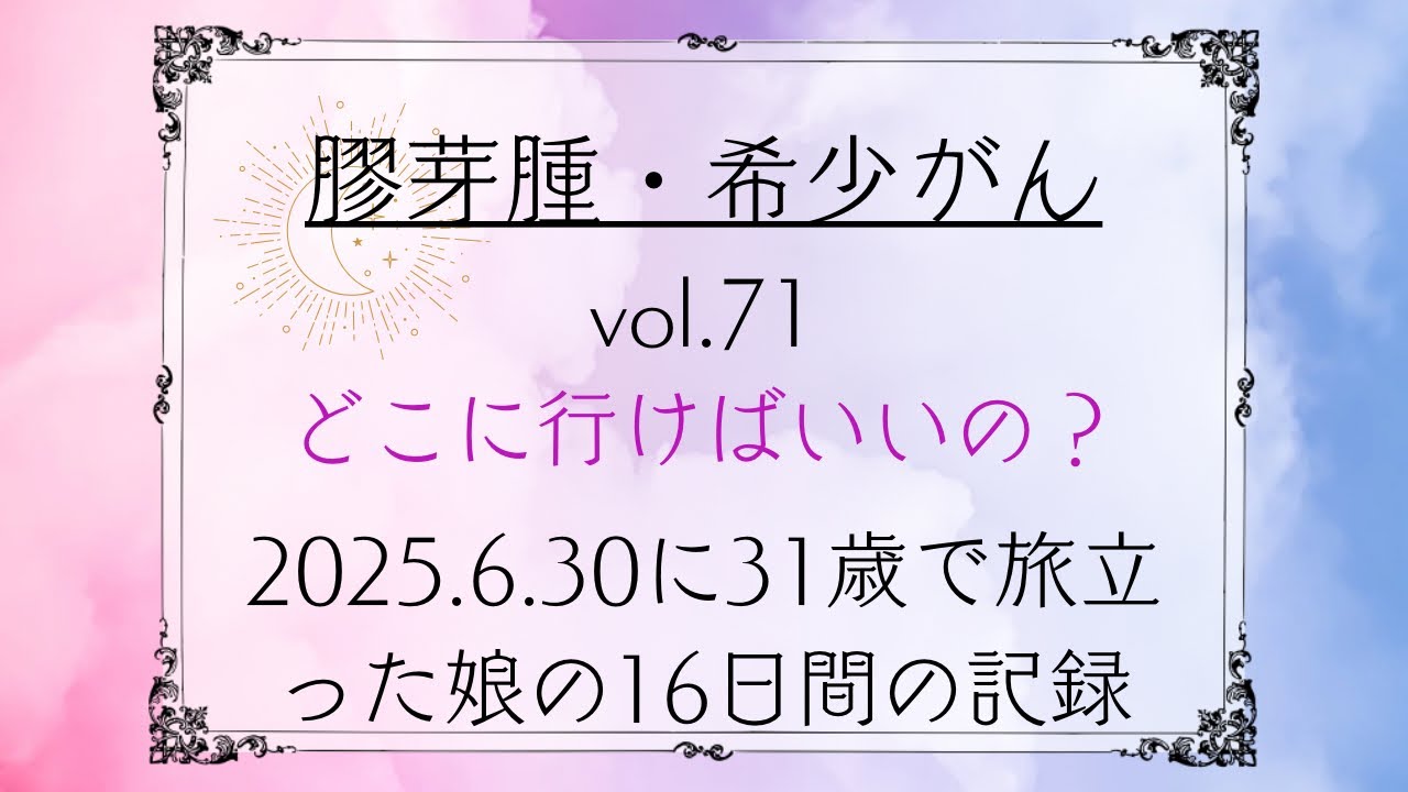 膠芽腫（DMG）・希少がんvol.71「どこに行けばいいの？」〜31歳で旅立った娘の16日間の記録#脳腫瘍 #膠芽腫#健康 #病気 #病逝 #人生 