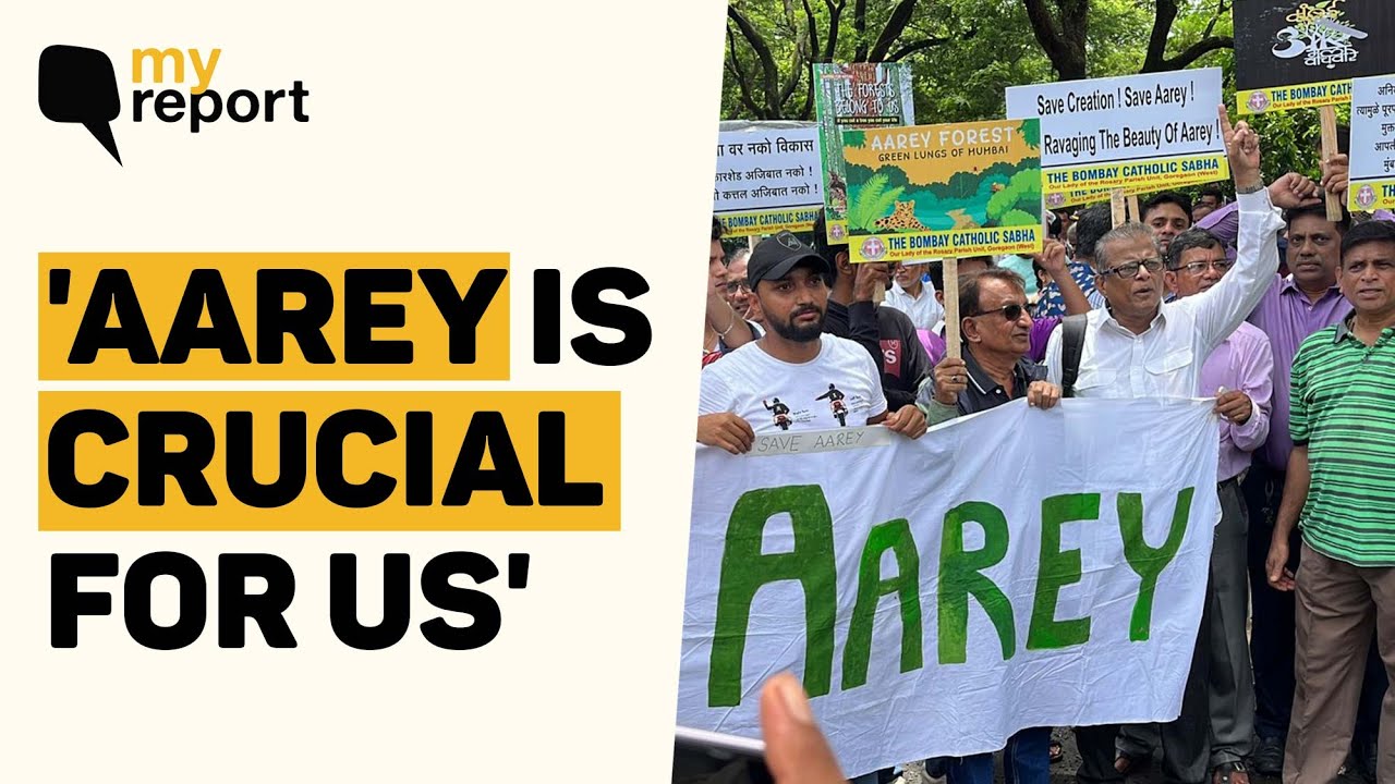 Mumbai Car Shed Protest: 'Aarey is Crucial For Us, Need To Save the Forest'  | The Quint
