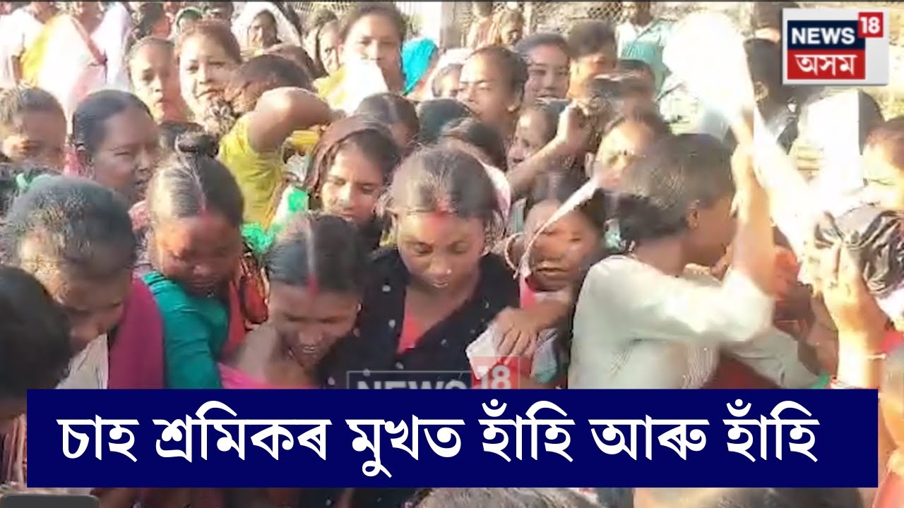 Jorhat News | যোৰহাটৰ চাহ বাগিচাৰ চাহ শ্ৰমিকসকলৰ মুখত আজি কেৱল হাঁহি আৰু হাঁহি ! N18V