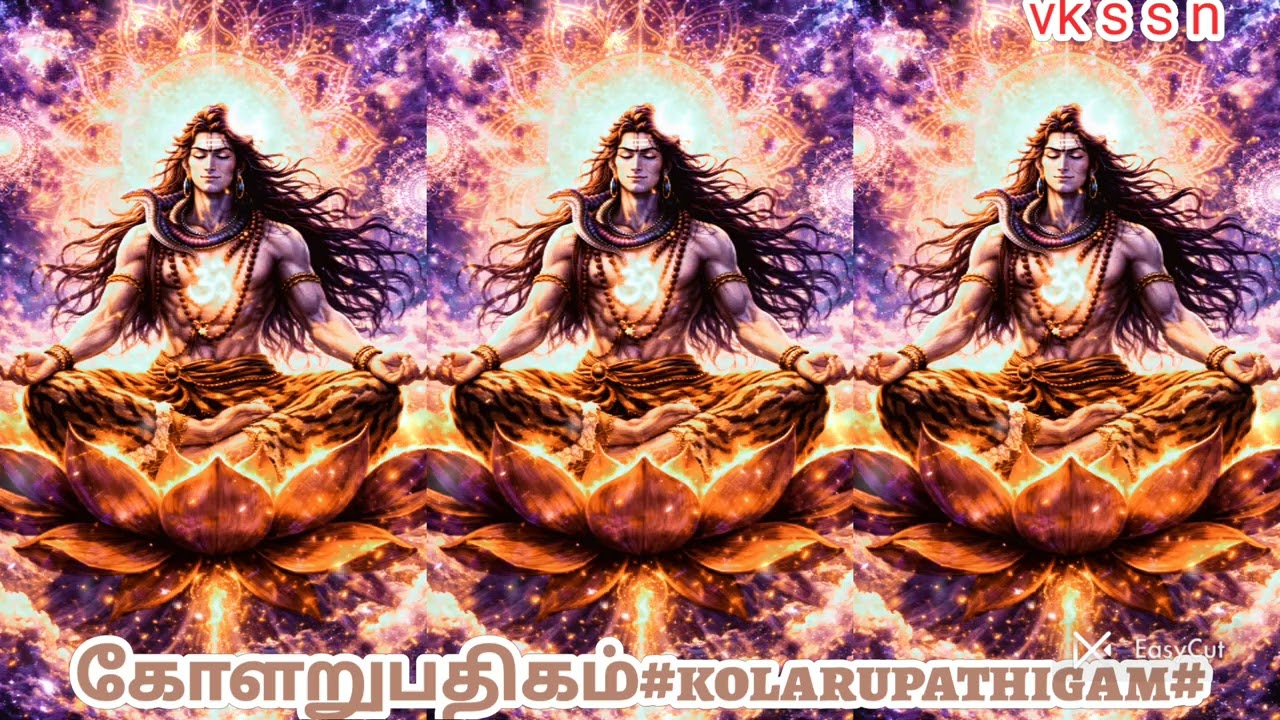 பாடியவர் சாருமதி