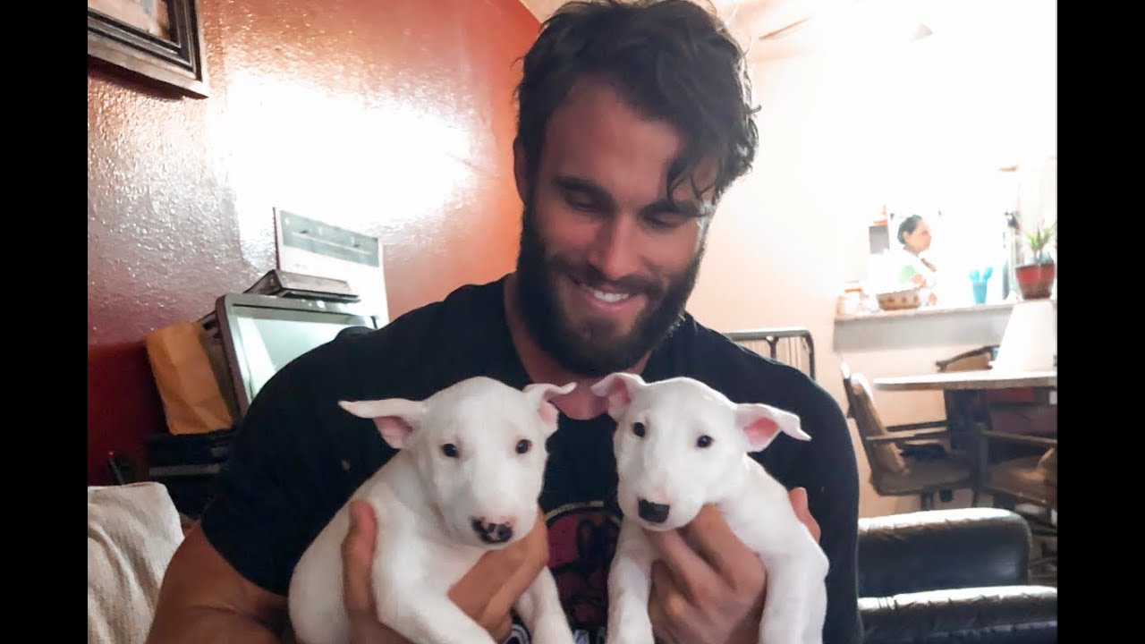 CALUM VON MOGER PUPPY STARTER KIT