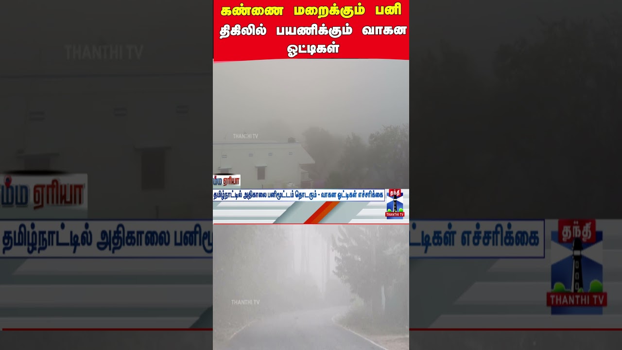 tamilnadu | fog | roads