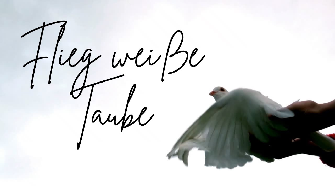 Flieg weiße Taube