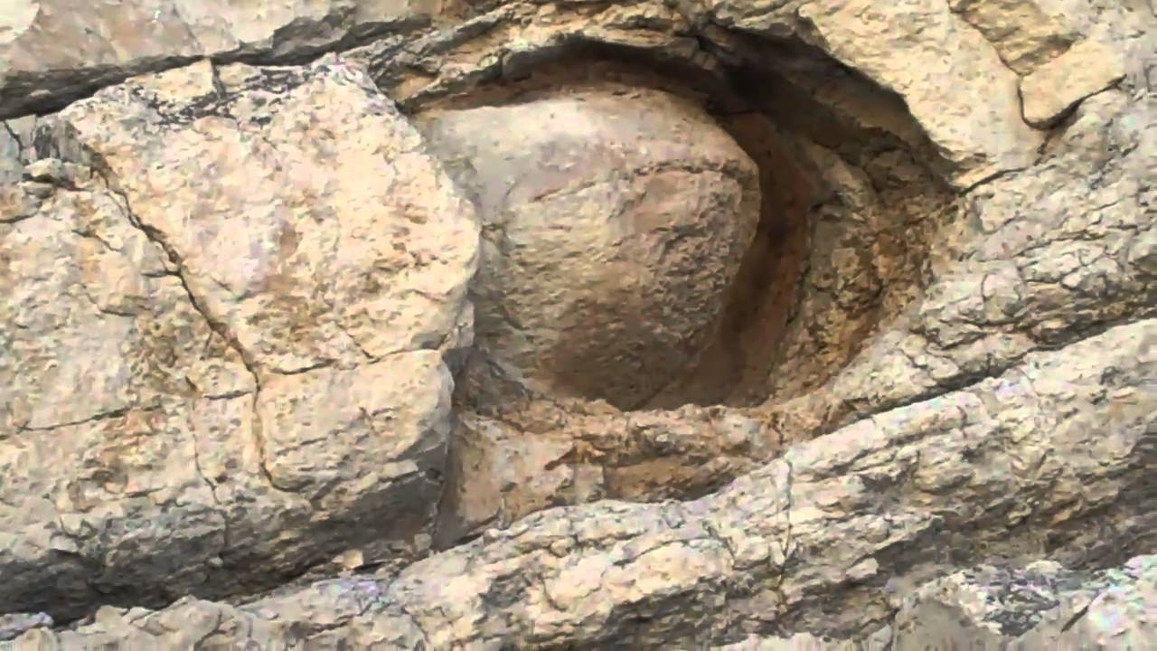Dinosaur Ridge: Roadcut
