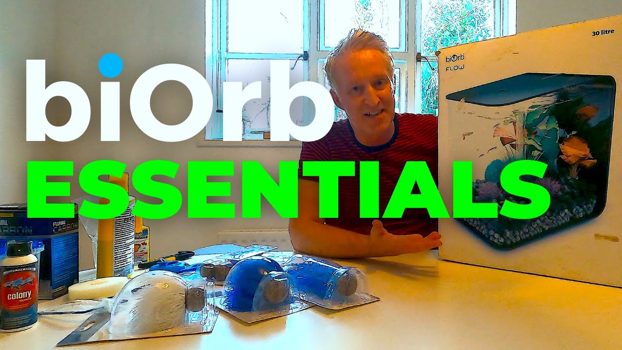 biOrb Aquarium  |  Some key things to get before you start a biOrb