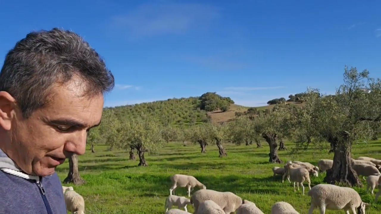 34 años de preparación para el zarpazo final...NO MERCOSUR. 