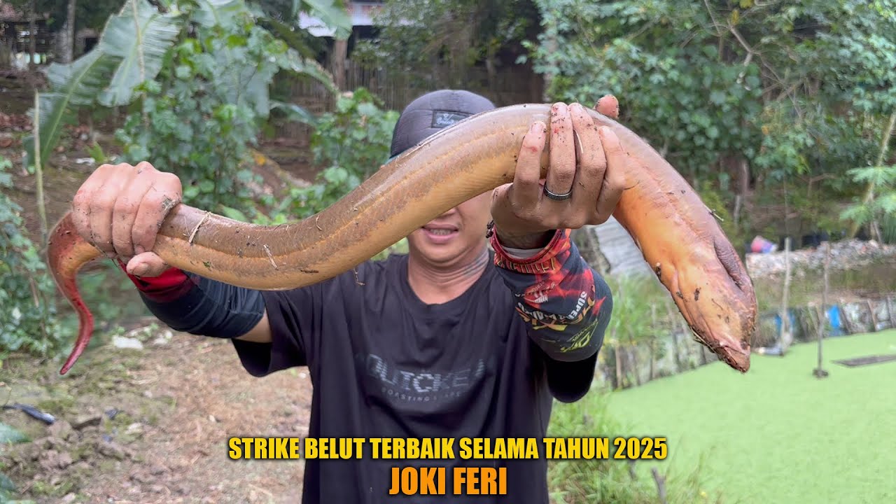 STRIKE BELUT MONSTER TERBAIK JOKI FERI SELAMA TAHUN 2025