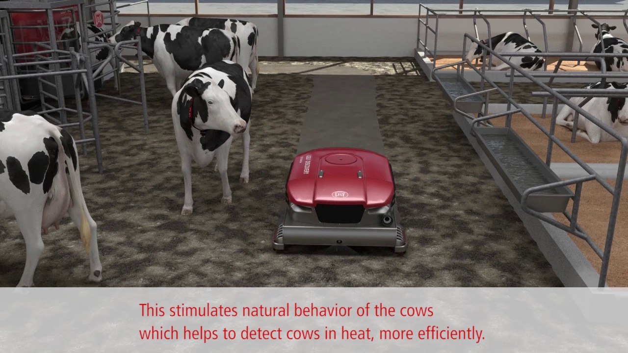 Lely Discovery 120 Collector - animation - EN
