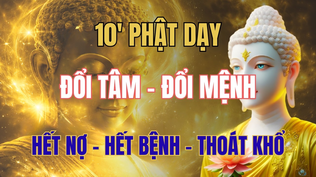 TRÍ TUỆ PHẬT GIÁO: ĐỔI TÂM- ĐỔI MỆNH,THU HÚT VÔ VÀNG PHƯỚC LÀNH