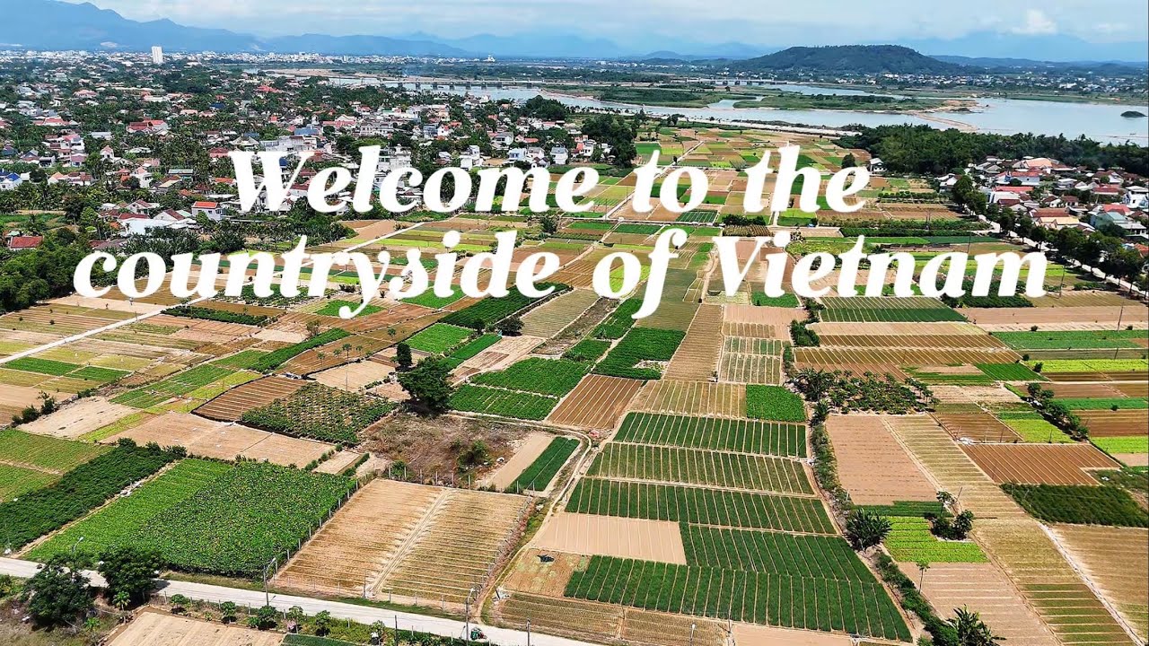 Peaceful Vegetable Fields Along Tra Khuc River | Rural Vietnam in 4k
