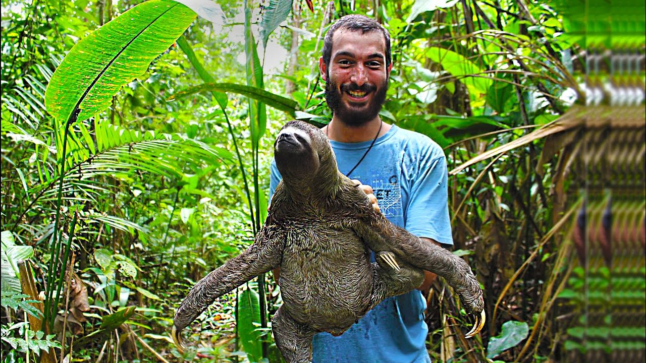 (ASMR ITA) VIAGGIO IN AMAZZONIA - Secondo Capitolo