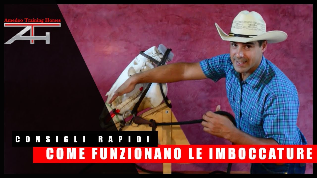 I CONSIGLI RAPIDI - Come funzionano le imboccature all'interno della bocca di un cavallo