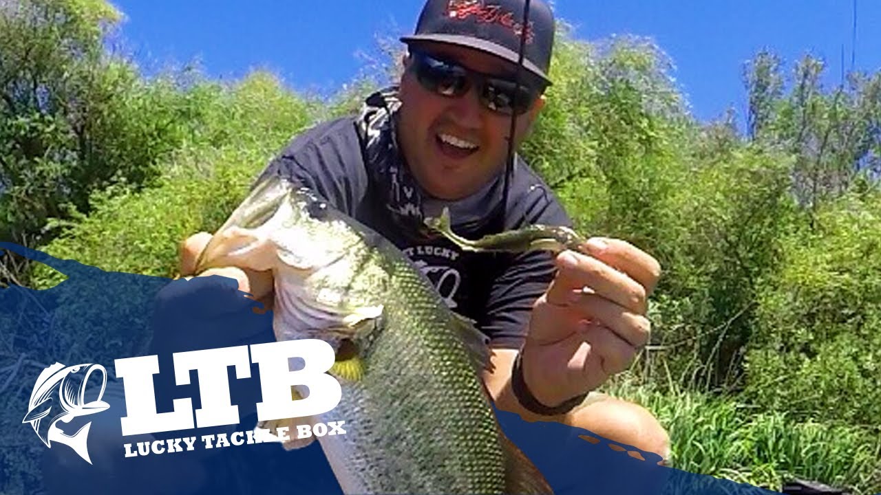 Topwater Fishing Tip #3: Soft Body Popper