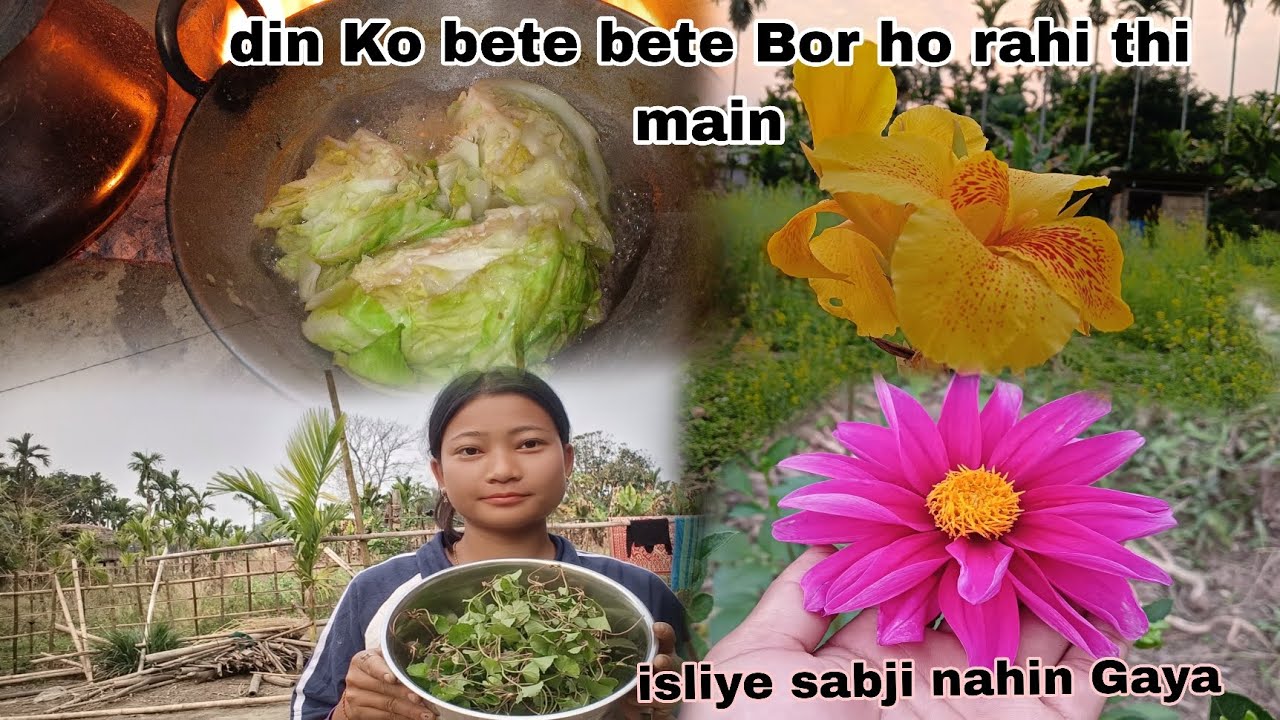 Din Ko bete bete Bor ho rahi thi main isliye sabji nahin Gaya 