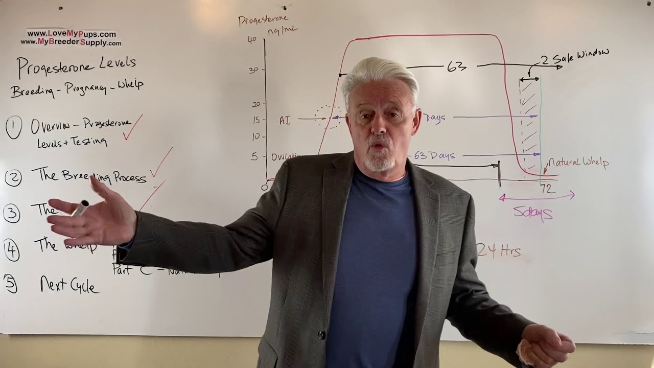 Part 4B of 5 Progesterone levels breeding and whelping dogs