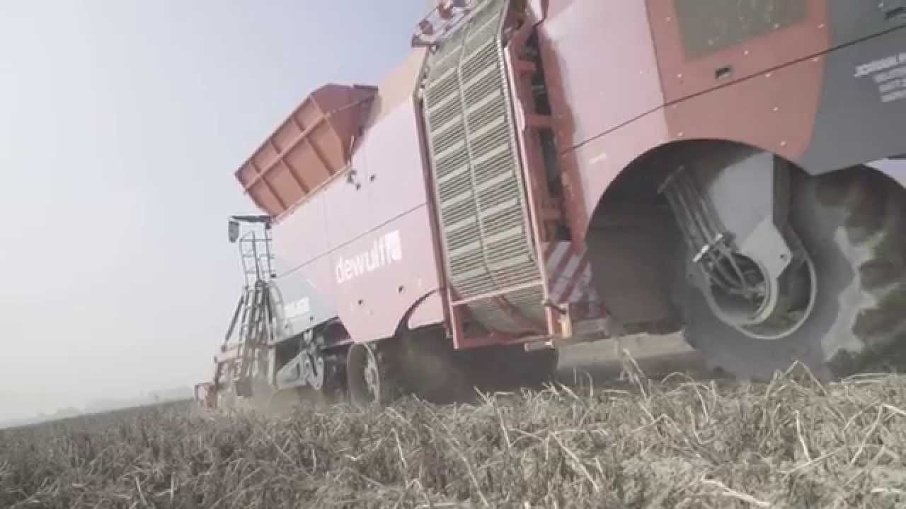 Dewulf Kwatro - 4-row self-propelled potato harvester
